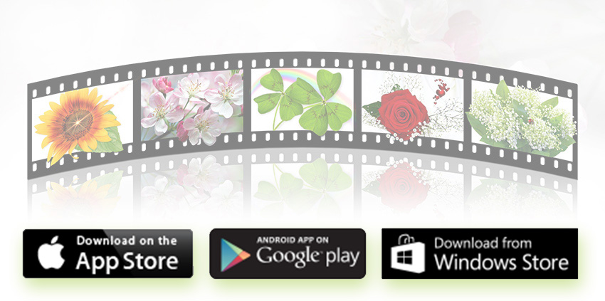 Quelle Application Pour Retoucher Ses Photos Sosav Blog