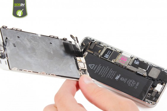 Guide photos remplacement haut-parleur externe iPhone 5S (Etape 8 - image 3)