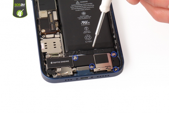 Guide photos remplacement haut-parleur externe iPhone 12 (Etape 11 - image 1)