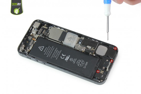 Guide photos remplacement haut parleur externe (hp du bas) iPhone 5 (Etape 12 - image 1)