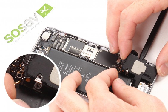Guide photos remplacement haut-parleur externe iPhone 6 (Etape 15 - image 1)