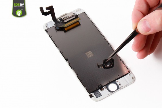 Guide photos remplacement ecran lcd seul iPhone 6S (Etape 24 - image 3)