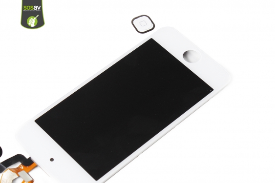 Guide photos remplacement ecran iPod Touch 6 (Etape 8 - image 1)