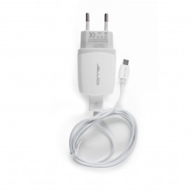 Câble data Micro USB + chargeur secteur 2.1A