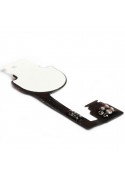 Nappe bouton home - iPhone 4