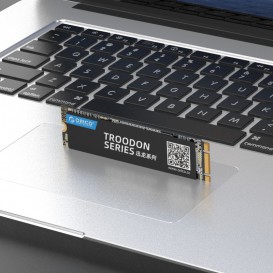 SSD M.2 2280 (128Go / 256Go / 512Go / 1To)