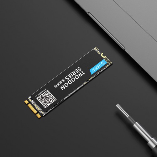 SSD M.2 2280 (128Go / 256Go / 512Go / 1To)