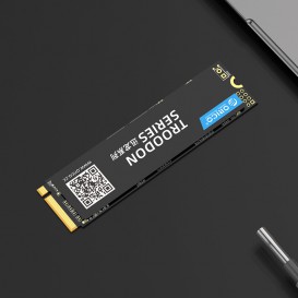 SSD M.2 NVMe 2280 (128Go / 256Go / 512Go / 1To)