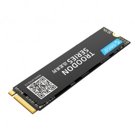 SSD M.2 NVMe 2280 (128Go / 256Go / 512Go / 1To)