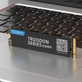 SSD M.2 NVMe 2280 (128Go / 256Go / 512Go / 1To)