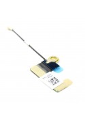 Antenne WiFi - iPhone 5