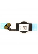 Nappe bouton home - iPhone 5