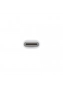 Adaptateur USB-C vers USB - Apple photo 3