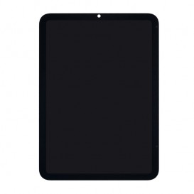 Écran iPad Mini 2021 photo 1