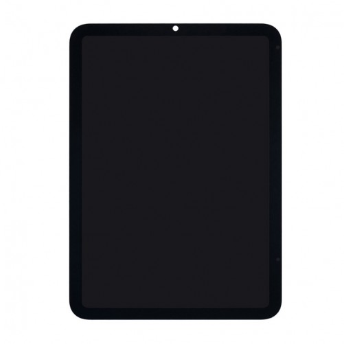 Écran iPad Mini 2021 photo 1