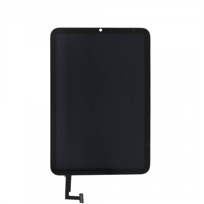 Ecran compatible iPad Mini 2021 photo 1