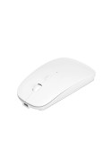 Souris Bluetooth WIWU - Blanche photo 1