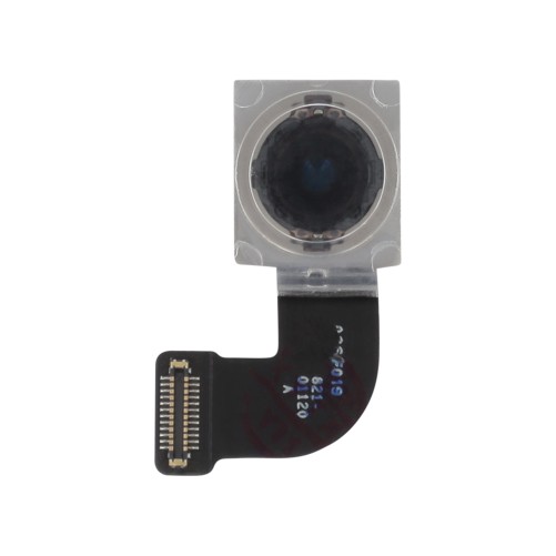 Caméra arrière - iPhone SE (2020) et SE (2022) photo 1
