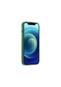 Coque Vert Boréal pour iPhone 11 HALO photo 1