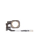 Nappe + Bouton Home Or - iPhone 5S