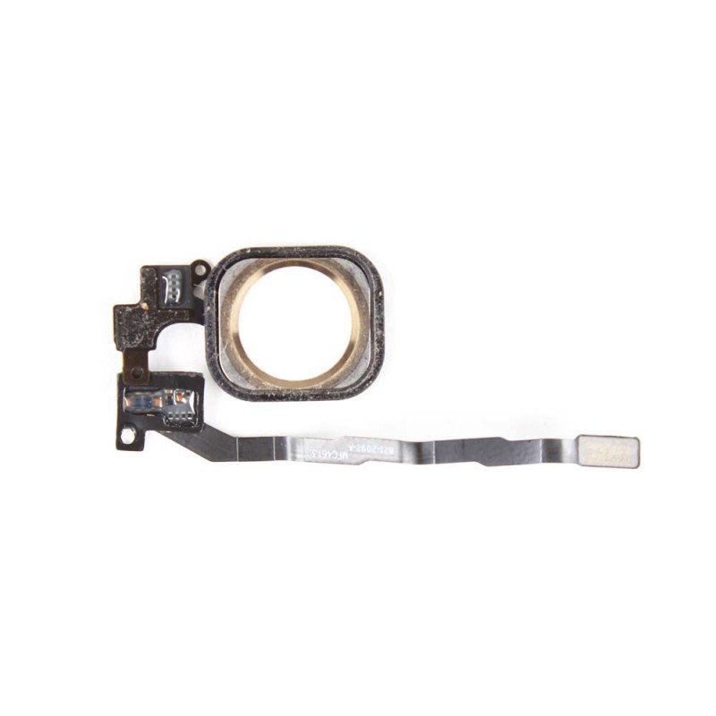 Nappe + Bouton Home Or - iPhone 5S